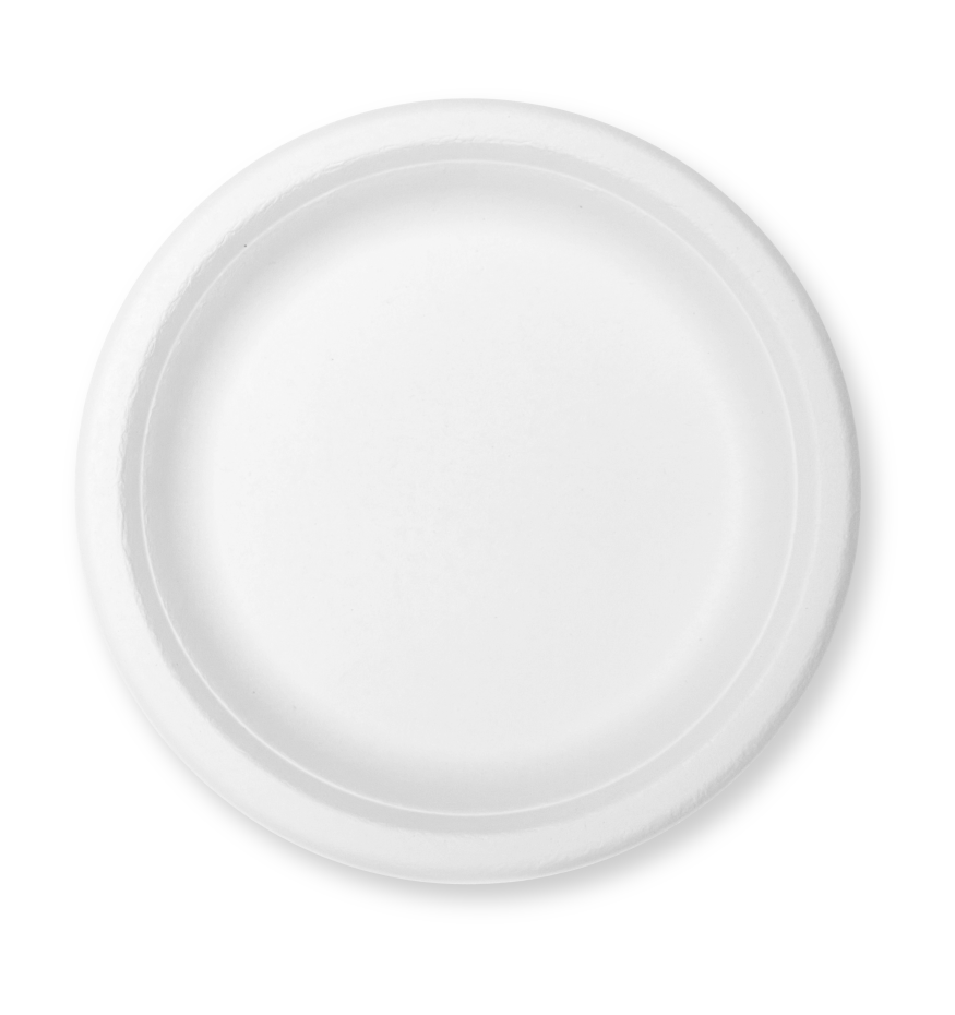 10” Round Plate