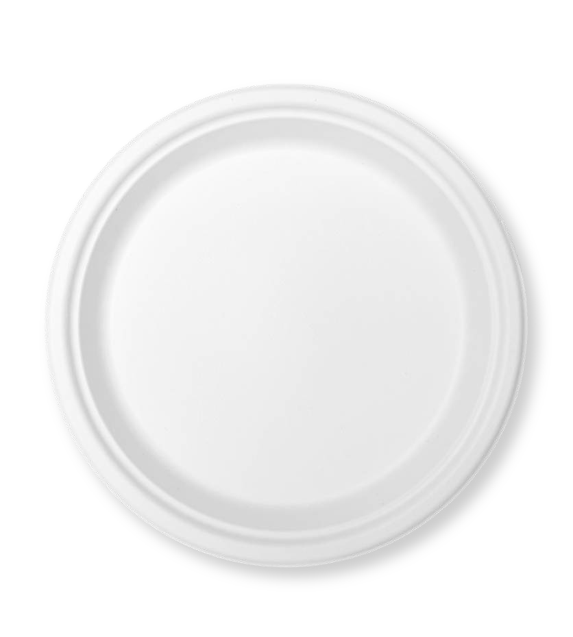 11” Round Plate
