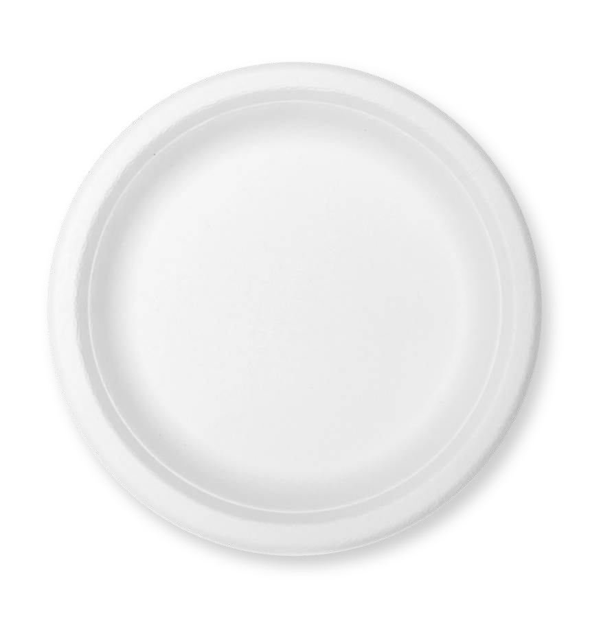 12” Round Plate