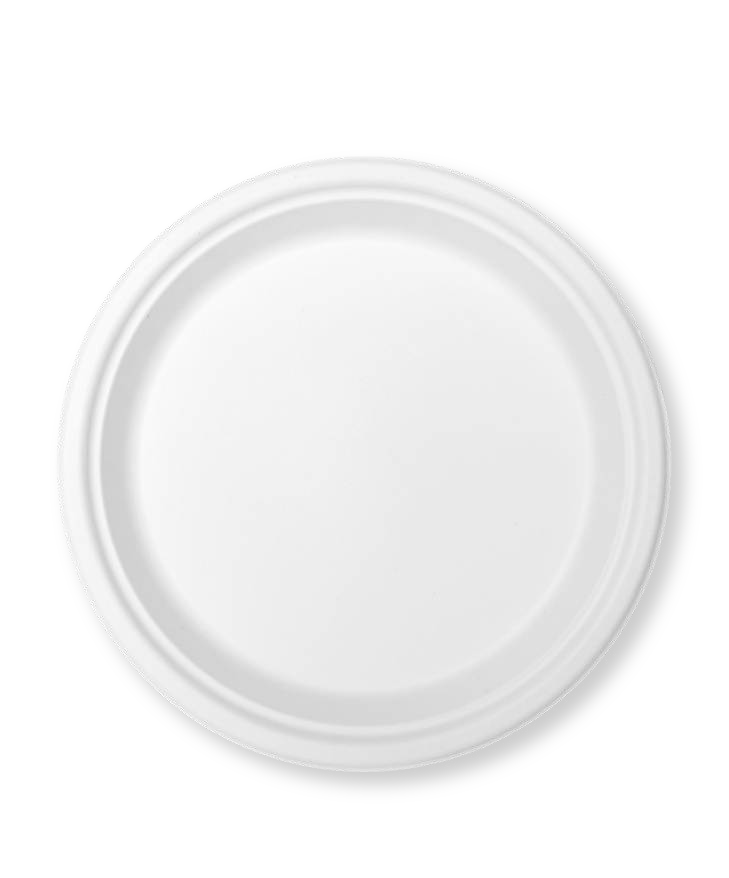 9” Round Plate